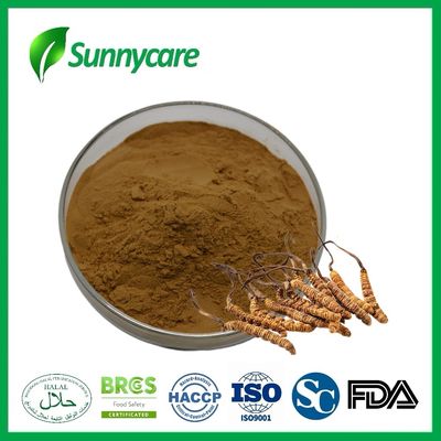 Brown Nutrition Supplement Powder Cordyceps Mushroom Extract Powder ISO9001 Kosher