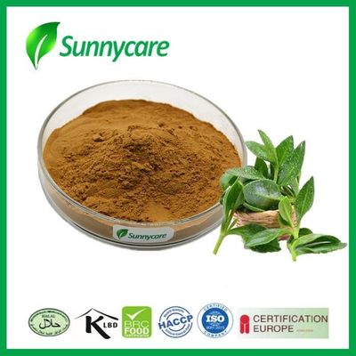 CAS 5508-58-7 Andrographis Paniculate Extract 5% - 98% Andrographolides