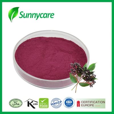 Ekstrak Jus Elderberry Powder Sambucus nigra Pewarna Alam untuk Makanan dan Minuman