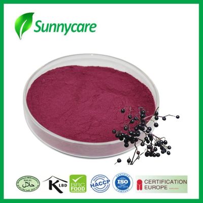Black Elderberry Extract Powder dari Sambucus nigra untuk Kekebalan dan Vitalitas