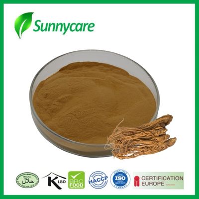 Ekstrak Dong Quai Angelica sinensis Tingkatkan Kekebalan Makanan Fungsional Minuman Energi