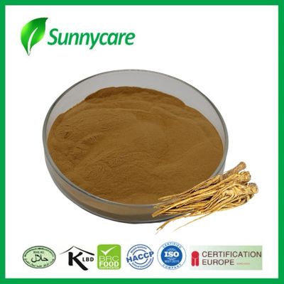 Ekstrak Dong Quai Bubuk Angelica sinensis Kesehatan Hati dan Ginjal Obat Herbal